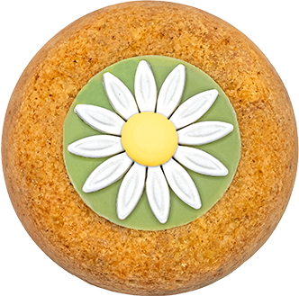 Top view of a round cookie decorated with a fondant daisy on a green background, featuring white petals and a yellow center, optimized for homepage SEO.